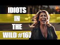 Idiots in the wild 167