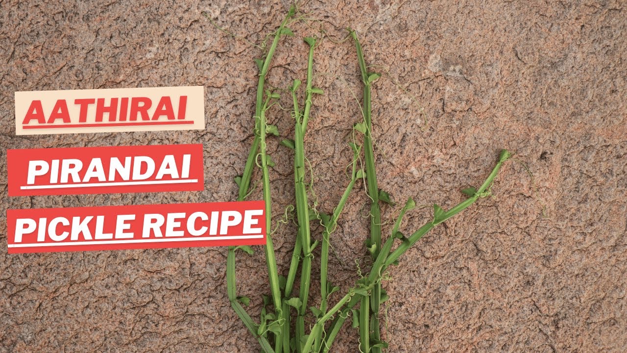 Pirandai Pickle Recipe Try Aathirai Pirandai Pickle / Thokku the