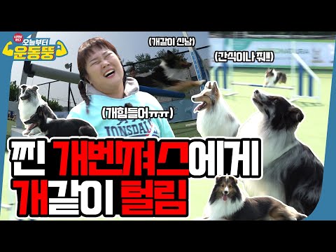 이 채널은 이제 &amp;#39;개&amp;#39;껍니다 [시켜서 한다! 오늘부터 운동뚱] 119회