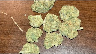Blue Cookies - Strain Review #19