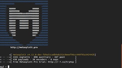 What is Metasploit Framework