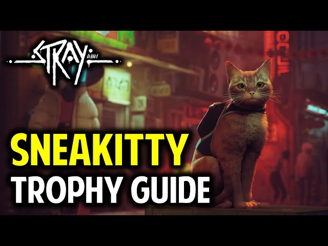 Stray The Slums Trophy Guide