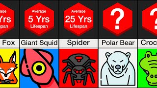 Comparison: Animal Lifespans (PART 2)