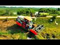 Incredible Kubota Combine Harvester Performance Harvesting Rice