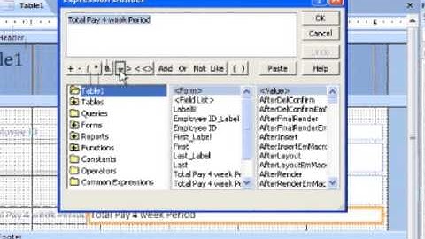Access 2007:Using Expression Builder to perform Calculations in Forms