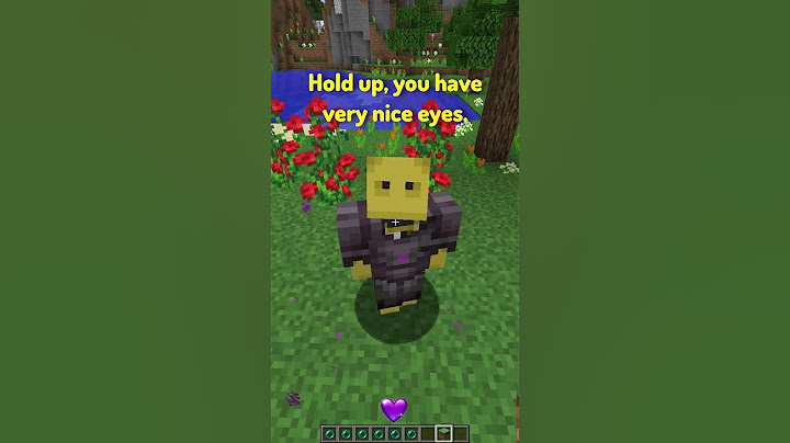 POV: You're an Enderman in Minecraft