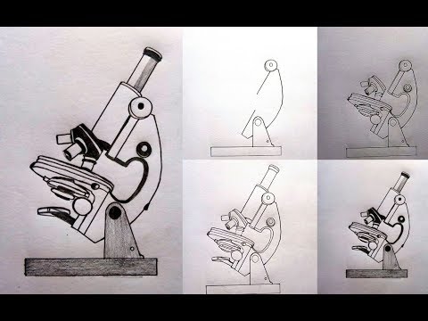 How to draw compound microscope step by step //  যৌগিক অনুবীক্ষন যন্ত্র