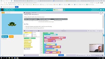 Unit 3 Lesson 15 page 6b (turtle bug)  code.org CSD 20/21