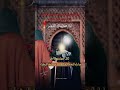 مولد السيده فاطمه الزهراء متباركين