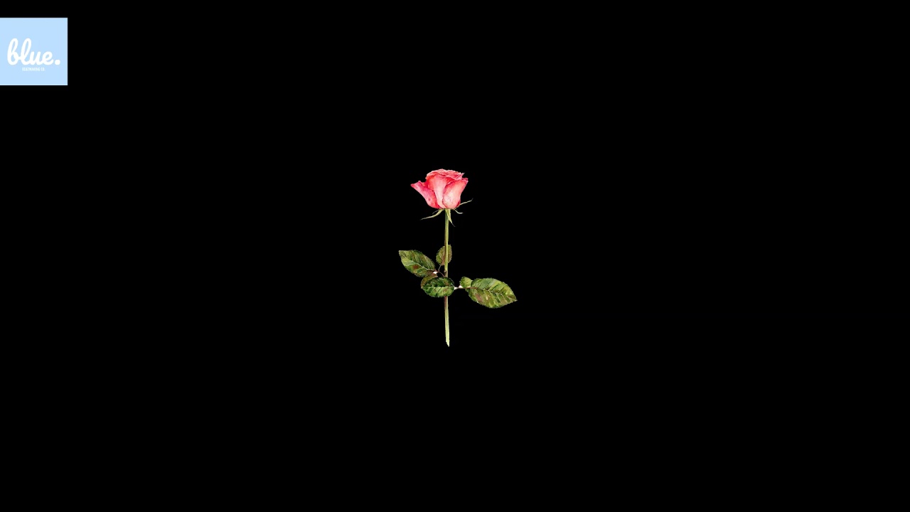 [FREE] THE WEEKEND TYPE BEAT | 'HUMBLE FLOWER' | BLUE BEATMAKING CO