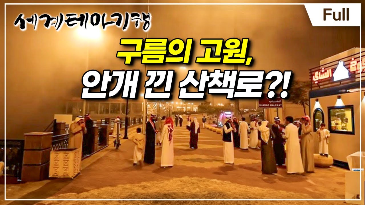 [Full] 세계테마기행 - 멋진 신세계, 사우디아라비아! -구름의 고원, 압하