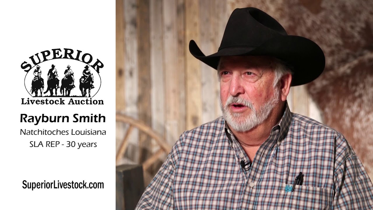 Meet a Rep Monday Rayburn Smith YouTube