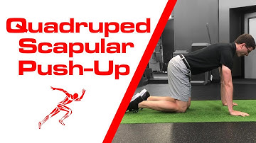 Quadruped Scapular Push-Up
