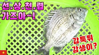 베트남 선상 바다낚시 물고기가 안물어서 낚시미끼 새우를 구워먹었어요! (kiengiangtv)