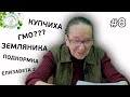 ГМО? Купчиха. Елизавета 2. Подкормка земляники. Ответы на вопросы по выращиванию клубники.