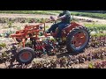 Allis Chalmers G Stekekee finger weeders.