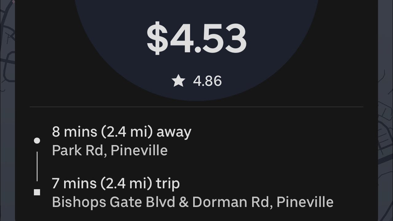 I Rented a Tesla Model 3 from Hertz for Uber How Much Money Did I Make