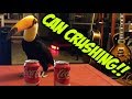 Toucan vs. 2 Cans (CAN CRUSHING!)