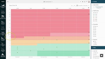 How to Use the Aging Chart by Nave