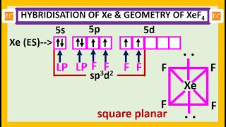 Detailed SEV NO – 1 Hybridisation of Xe and geometry of XeF4 molecule. Details