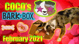Barkbox Super Chewer Unboxing with Coco - February 2021