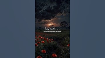 اكتب شيء تؤجر عليه 😴💚 قران كريم | ياسر الدوسري