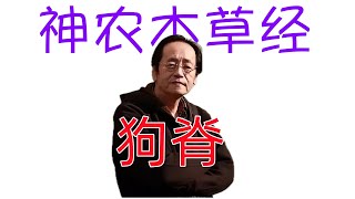 倪海廈《神農本草經》細分版: 176狗脊、百枝