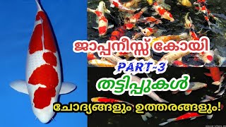 Japanese koi in Kerala | ജാപ്പാനീസ് കോയി മലയാളം| Japanese koi ullas varkala|Ep90