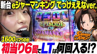 New machine [e Shaman King Huge ver.] The results of the first 6