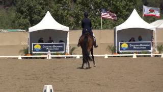 Catherine Rose Chamberlain & Avesto van Weltevreden - YR Freestyle