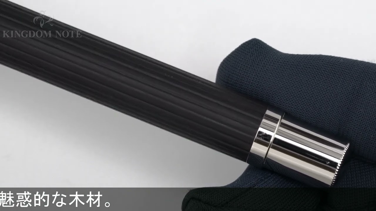 GRAF VON FABER-CASTELL グラフフォンファーバーカステル 万年筆