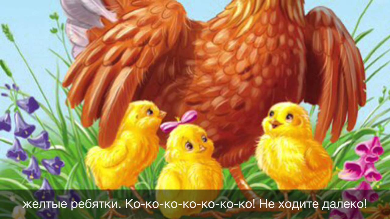Песенка про цыплят для малышей. Курица с цыплятами для детского сада. Ко-ко-ко не ходите далеко. Анимация Курочка с цыплятами для детей. Курочка с цыплятами гуляет.