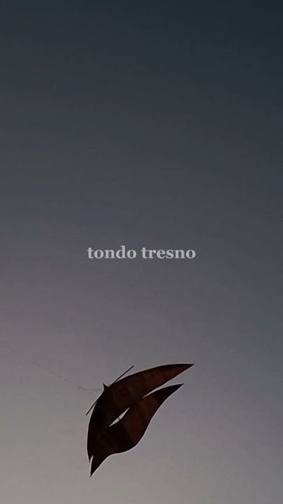 Story wa Layangan sing tatas