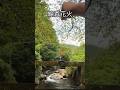 なんの風情も感じない線香花火 #shorts