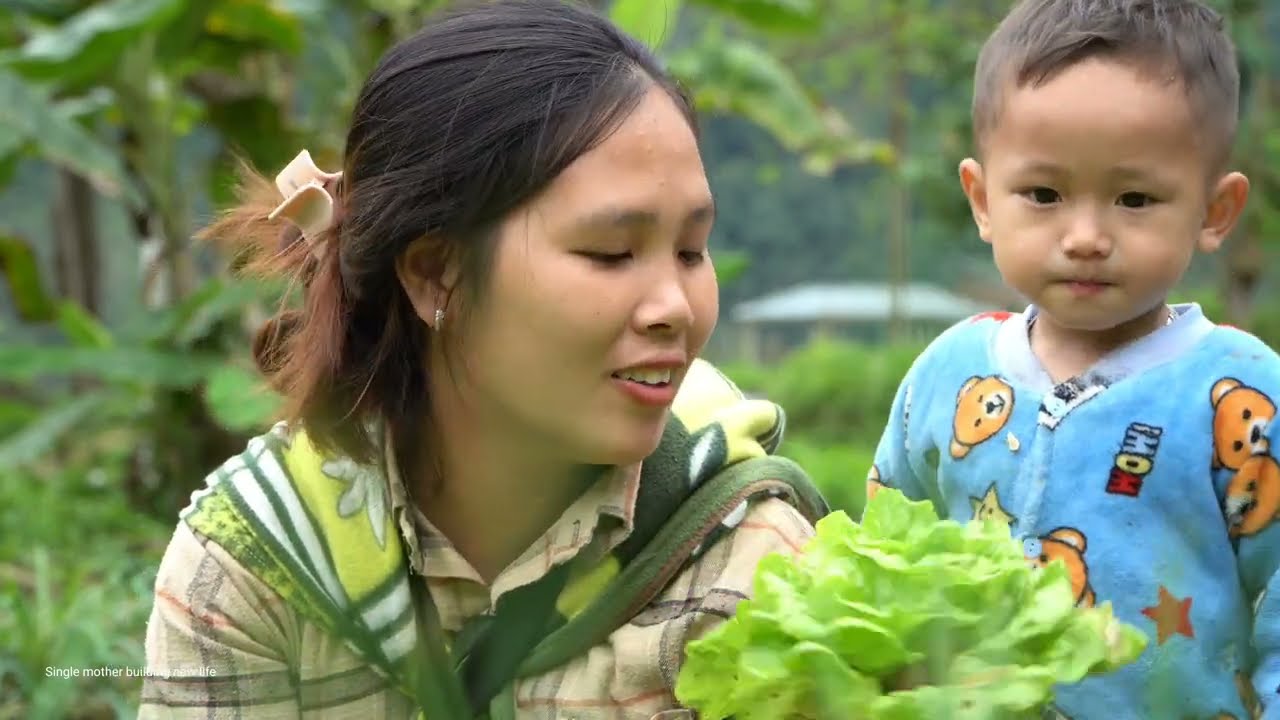 Full video: Harvesting green vegetables, banh chung, kuli tubers, sticky rice to sell at the market
