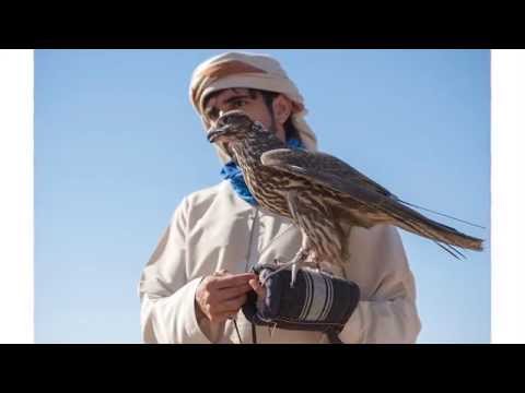 في السما دروب فزاع