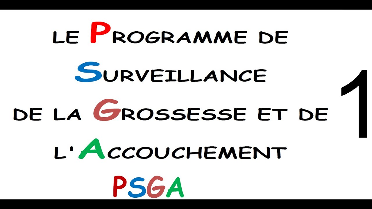 cours 1 sur zoom de Mr mahsoune SMI (PSGA)