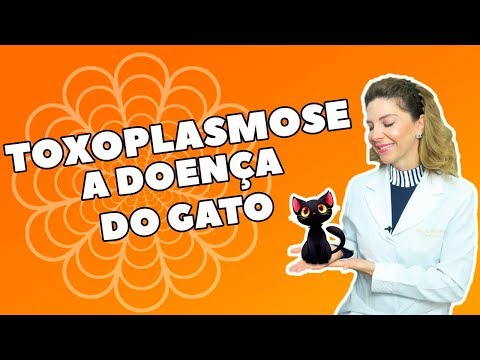 Vídeo: Riscos De Gatos, Cocô De Gato E Toxoplasmose