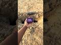 JBL go 4 puliya tasting sound
