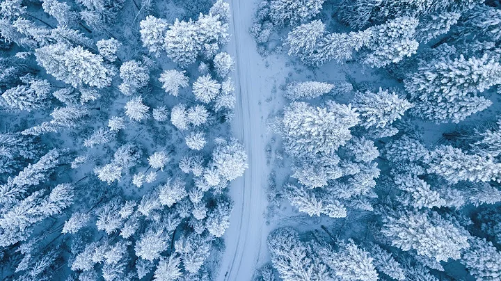 White Noise | Walking in Snow for 10 Hours