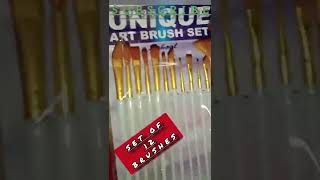 UNIQUE ART BRUSH SET. Set of 12 brushes. Unboxing of paint.Please Subscribe.#shorts #subscribe #like