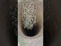 how to safely cover a dug Well with #short