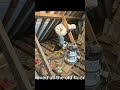 Loft Insulation Upgrade in an Old Property#GuildfordPlastering #DanielLeePlastering