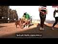 كليب قادرين يا دنيا نسخة اسكندرية