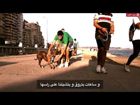 كليب قادرين يا دنيا نسخة اسكندرية