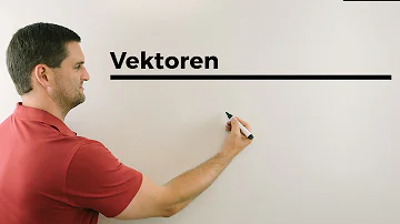 Was sind Repräsentanten bei Vektoren?