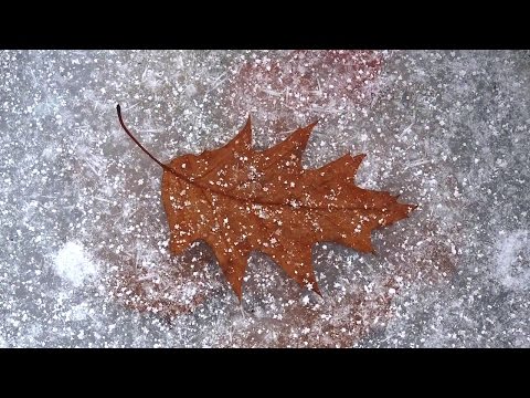Холодная осень - Игорь Яловец Холодная осень - Игорь Яловец