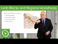 Other Limb Blocks and Intravenous Regional Anesthesia – Anesthesia | Lecturio