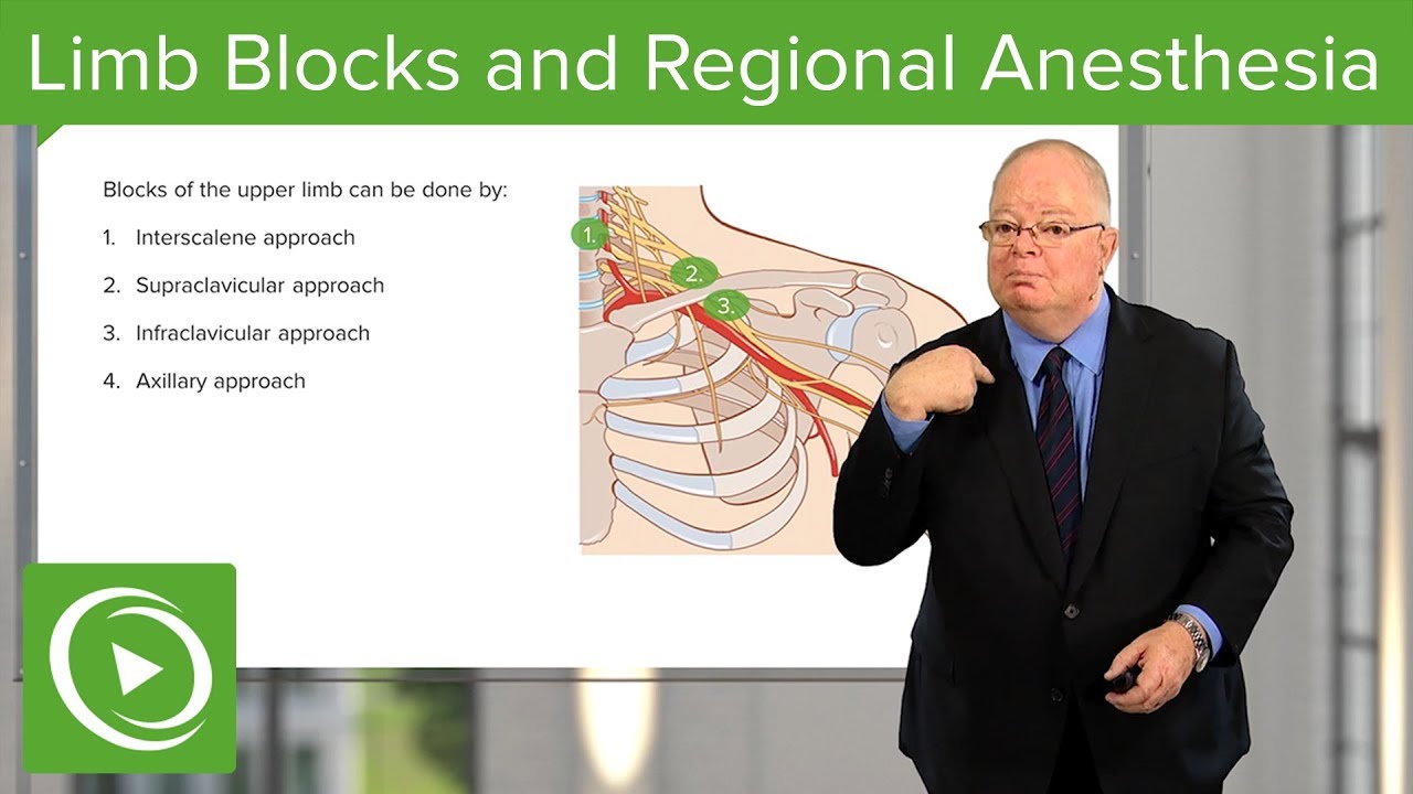 Other Limb Blocks and Intravenous Regional Anesthesia – Anesthesia |  Lecturio - YouTube