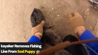 Kayaker removes fishing line from distressed seal pup's neck
